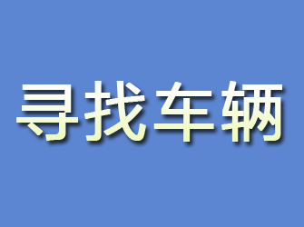 芦山寻找车辆