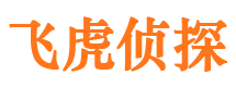 芦山外遇取证